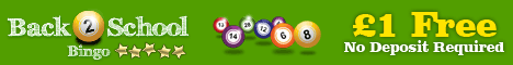 no bingo codes required