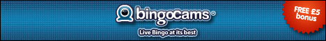 bingo cams